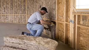 Best Attic Insulation Installation  in Trophy Clu, TX